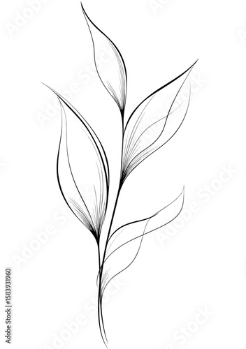 Simple line art of a delicate plant branch with leaves  
