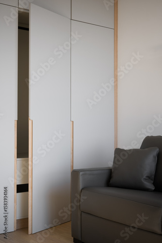 Minimalist wardrobe and grey sofa in a modern interior