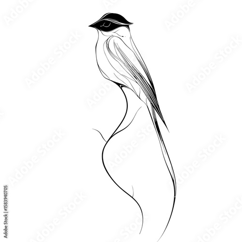 Minimalist illustration of a bird in black line art style  