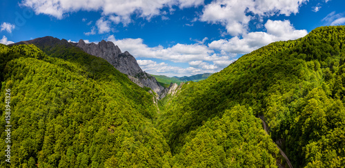 Cuadro en lienzo Sutjeska National Park in Bosnia and Herzegovina
