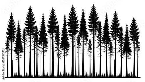 A grid of tall, narrow black tree silhouettes meant to evoke forest density, each one distinct but sharing a similar height. The overall feel is uniform and modern, with no background elements and sta