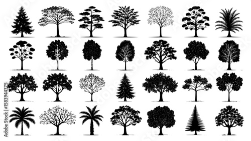 A collection of 48 black silhouette trees arranged by type—evergreens, fruit trees, tropical, ornamental—in a four-row grid. Each tree is stylized, flat, and graphic, with consistent spacing and clean