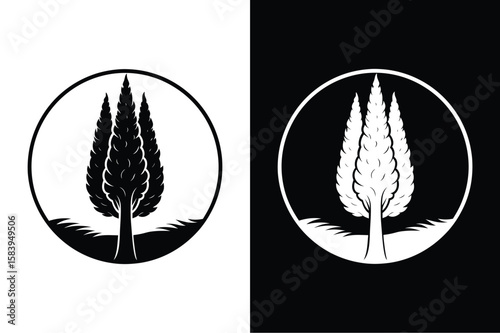 Cypress tree icon isolated vector icon illustration on white background.