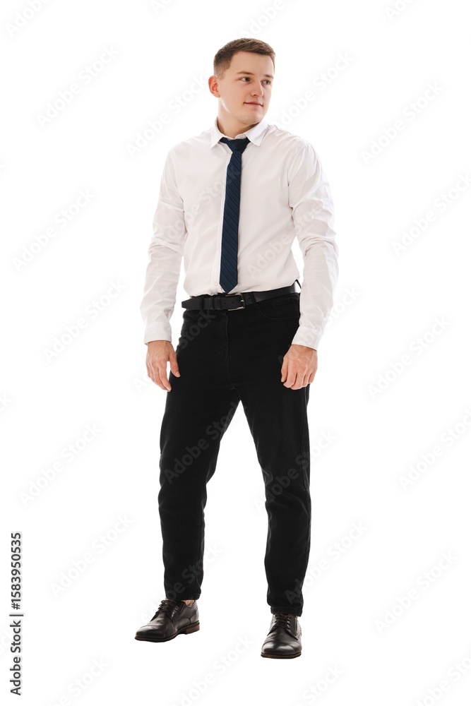 Fototapeta premium Successful man