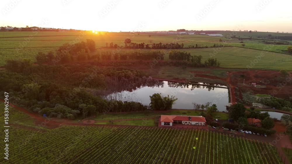 Vinícola no Brasil vista por drone ao pôr do sol, com lago ao lado, natureza exuberante,  vinhedo iluminados pela luz dourada. Beleza rural, clima tranquilo e paisagem cinematográfica