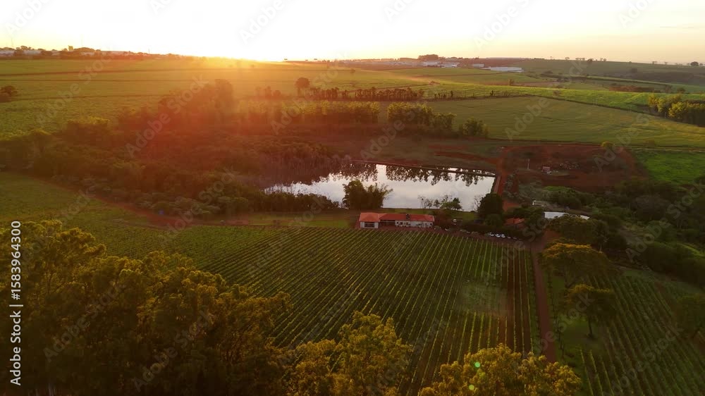 Vinícola no Brasil vista por drone ao pôr do sol, com lago ao lado, natureza exuberante,  vinhedo iluminados pela luz dourada. Beleza rural, clima tranquilo e paisagem cinematográfica