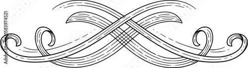 Curly flourish line with soft loops in hand-drawn style