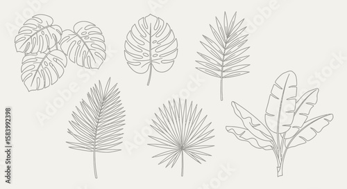Tropical Leaf Line Art Collection.