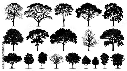 A field guide-style image showing top-down silhouettes of various tree canopies. All silhouettes are black, clean, and precise, positioned evenly in rows and columns on a plain white surface.



