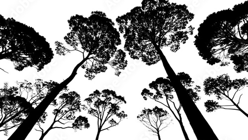 Minimalist tree canopy silhouettes displayed as isolated black shapes against a stark white backdrop. Each silhouette is evenly spaced and represents a unique species from an overhead perspective.



