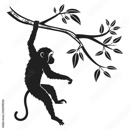 Silhouette of a monkey hanging from a tree branch with leaves