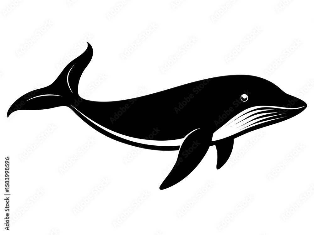 Fototapeta premium Stylized black silhouette of a humpback whale swimming on a white background