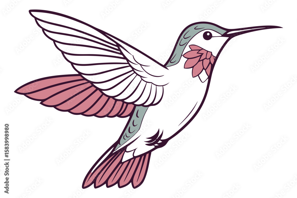 Obraz premium Stylized hummingbird with dark body and pink and teal accents in flight