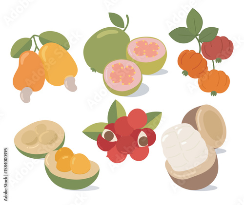 Flat Brazilian fruit collection illustration. Guava, guaraná berry cluster, cashew, cupuaçu and pequi vector. 