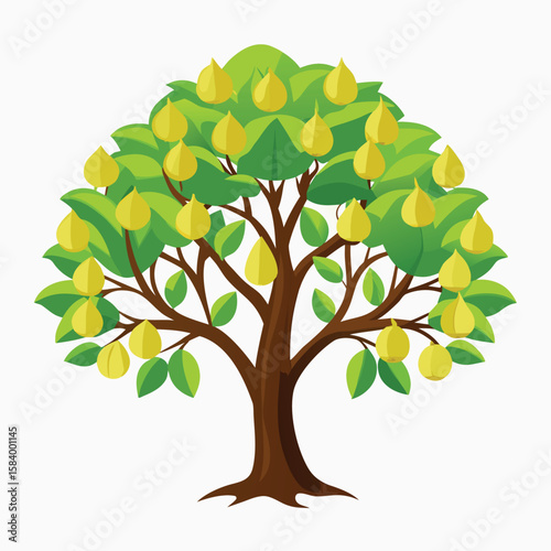 aristocrat callery pear tree