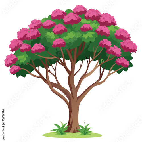 crepe myrtle tree