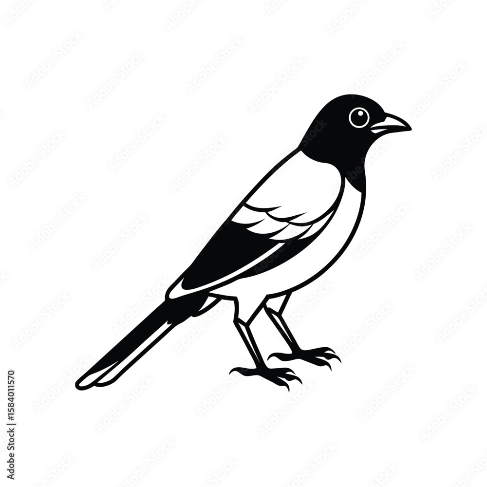 Obraz premium A thrush line art silhouette vector illustration on white background