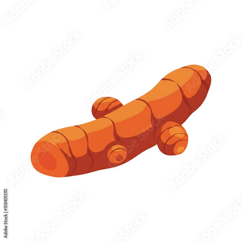 Bright Turmeric Root Vector Image for Culinary Designs