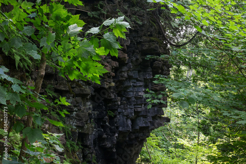 green moss on rock