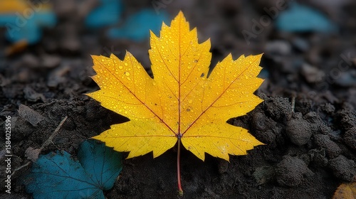 Golden autumn leaf sings its swan song resting on the Earth in the Woods