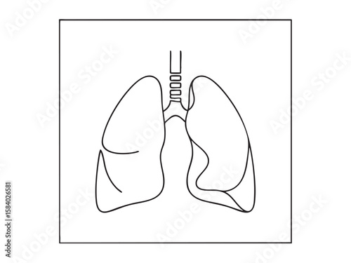 Minimalist line art illustration of the human lungs and trachea, isolated on a clean white background