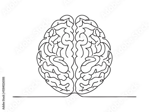 Minimalist line art of a human brain, isolated on a clean white background