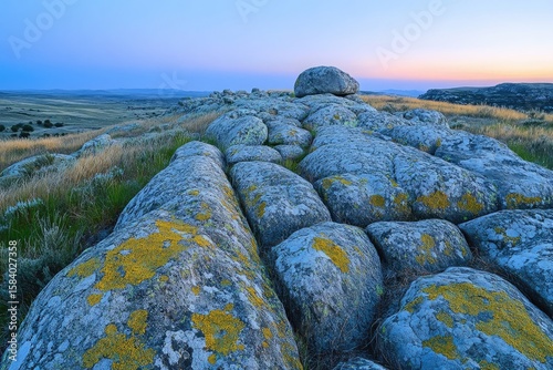 A scenic landscape featuring lichen-covered rocks and dry grasses at dusk under a serene blue and pink sky.