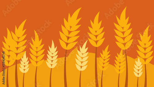 Golden Field of Ripe Barley Its Heads Heavy and Nodding Harvest