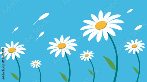 Graceful Field of Tall White Daisies Nodding in the Gentle Wind