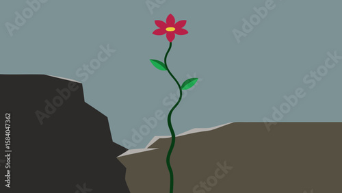 Hardy Flower Growing from Narrow Crack in Rock Nature Beauty