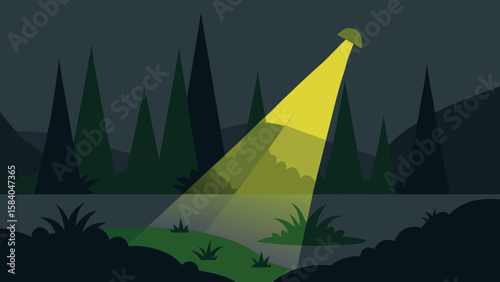 Focused Sunbeam Highlighting Patch of Moss in Deep Forest