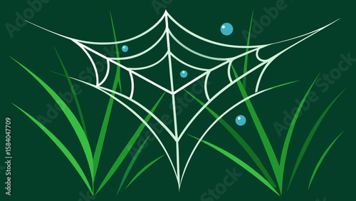Observe a Spiderweb Covered in Morning Dew Strung Like Jewelry