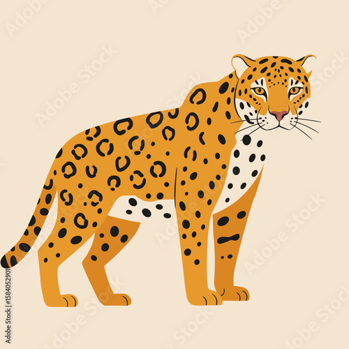 Leopard with spotted coat standing on all fours, observing its surroundings. Wild animal flat vector illustration for zoo poster