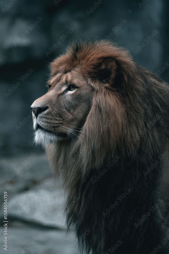 Obraz premium create stunning portrait of one of top rare wild animals set against minimalistic background that enhances its
