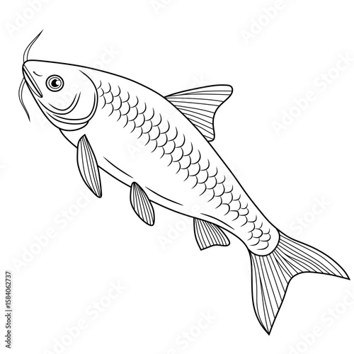 Clean black and white line drawing of a swai fish, perfect for coloring pages, educational use, or aquatic-themed designs.