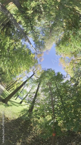 Take a leisurely stroll through the park and enjoy the beautiful scenery. The lush trees and green grass are a feast for the eyes, and the fresh air is invigorating. The park is a great place to relax