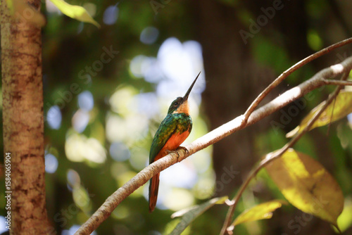 Chapada das Mesas - Maranhão