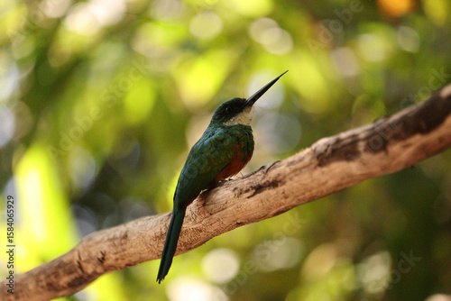 Chapada das Mesas - Maranhão