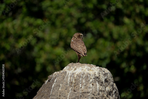 Chapada das Mesas - Maranhão