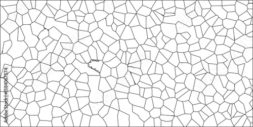 Abstract cell structure illustration with irregular polygon outlines in black and white composition providing a modern artistic aesthetic