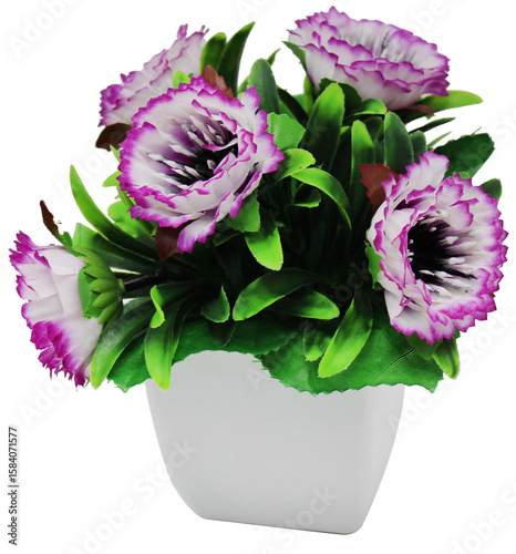 flores moradas