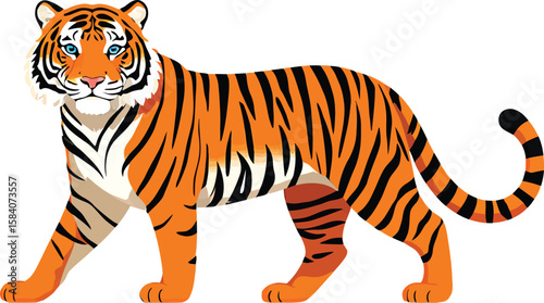 Cute cartoon a illustrator vector Bengal tiger
