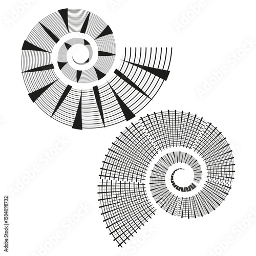 Geometric spiral pattern. Segmented linear design. Dynamic growth Vector. Abstract vortex illustration.