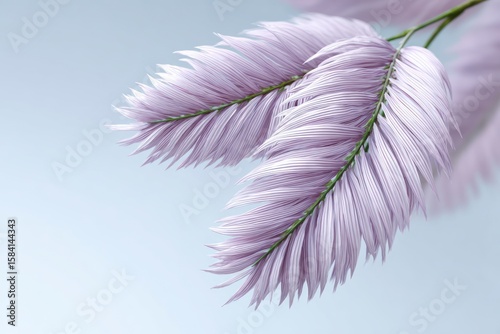 Delicate pastel purple fern fronds against a soft blue gradient background