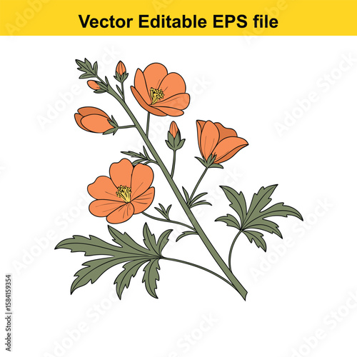 Three lupine flowers in a black and white illustration