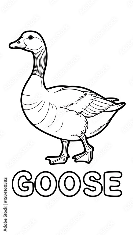 Fototapeta premium Canada Goose Coloring Page.