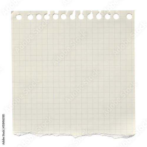 Torn, gridded notepad paper, blank, isolated, ready for notes.