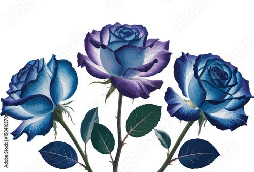 A vibrant vector illustration of a blue rose on a white background, highlighting its delicate petals and natural beauty, perfect for floral designs and patterns