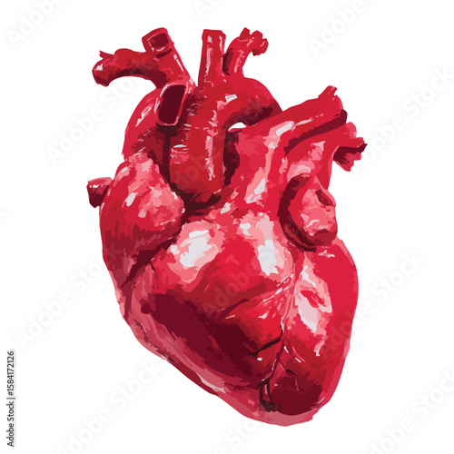 Red heart isolated on white