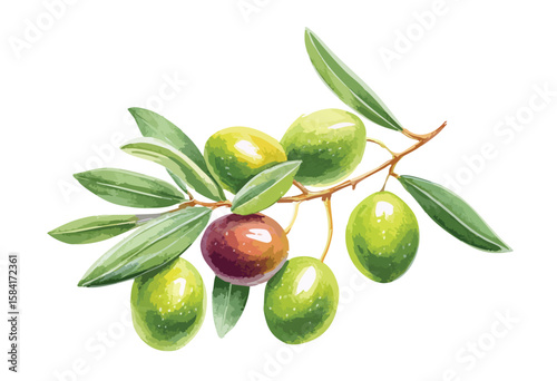 Green olives isolated on white